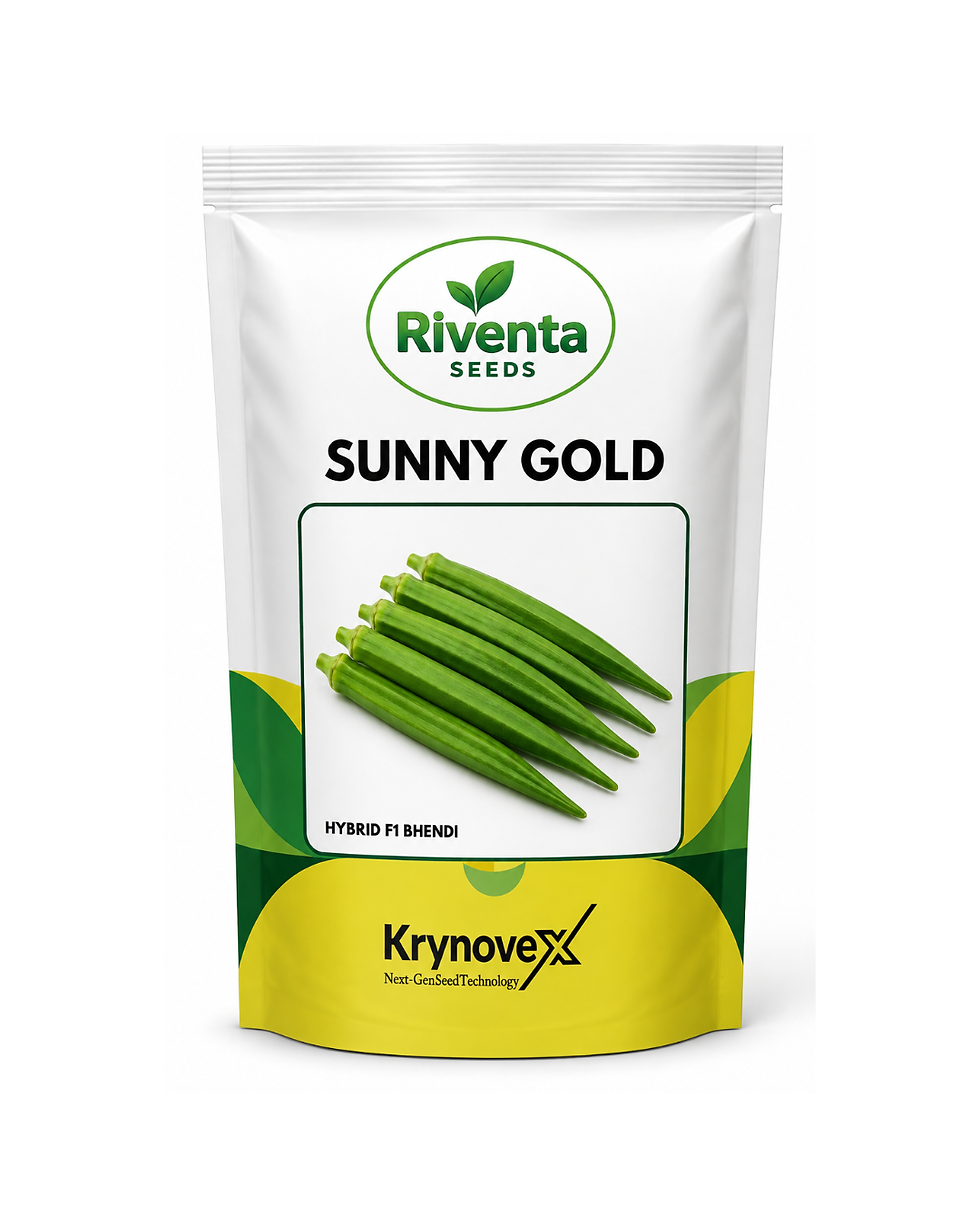 Riventa Sunny Gold F1 Hybrid Bhindi Seeds