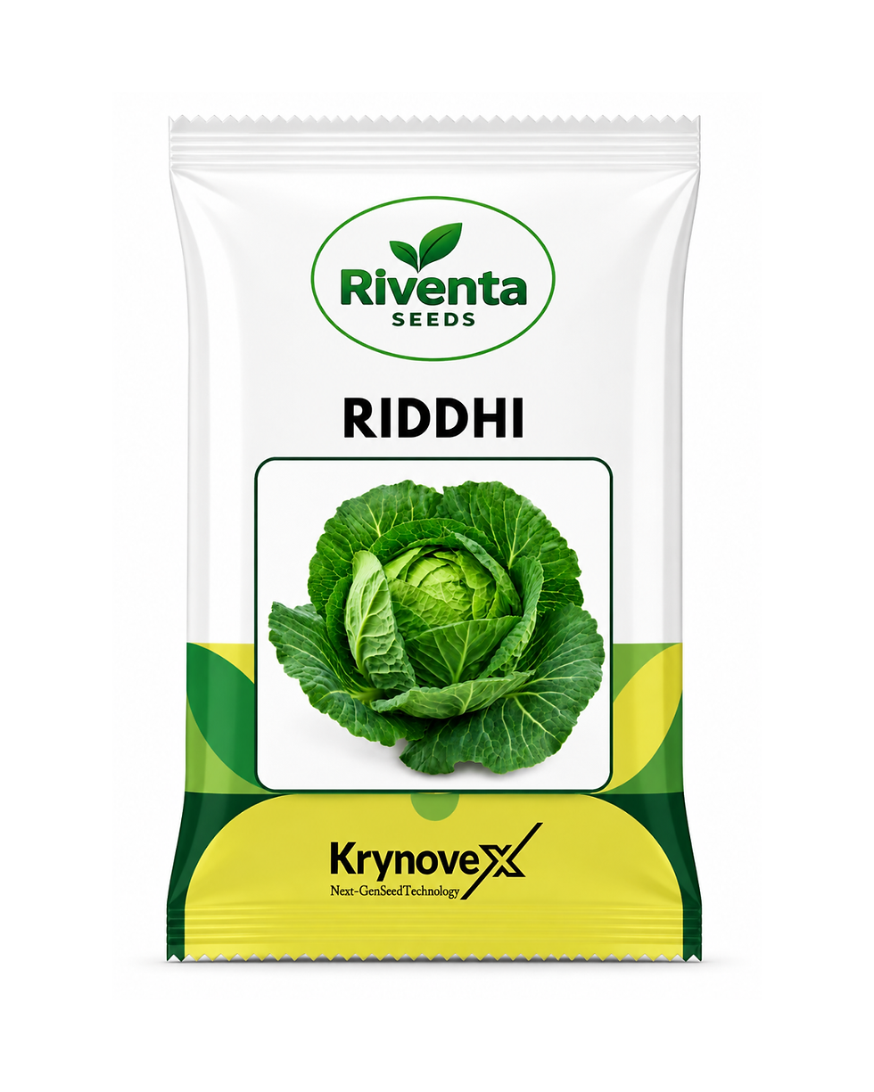 Riventa Riddhi Hybrid Cabe Seeds