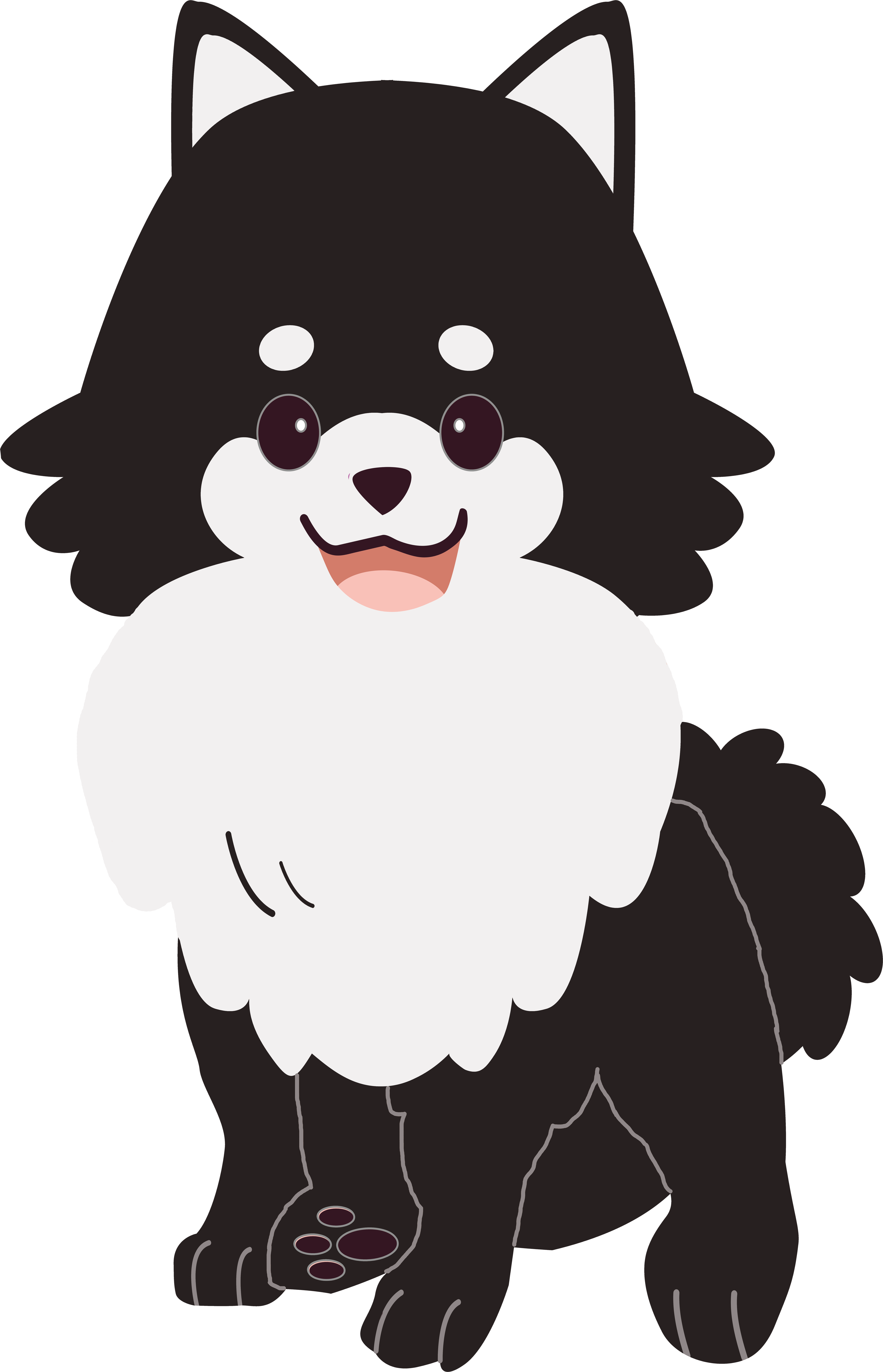 Bella_Pomchi-Dog_Sitting_Smiling.gif