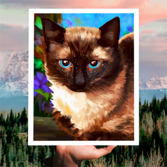 Untitled_Artwork.png