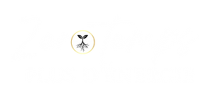 Zero temp plus d'énergie - Présentation - Low ticket_edited.png