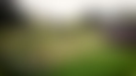 Mental health and wellbeing