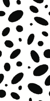 משרביה אליפסות