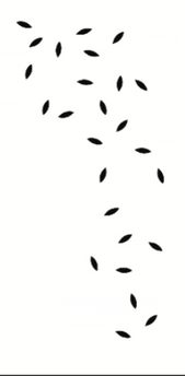 משרביה עלים קטנים מפוזרים