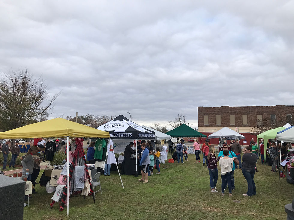 Christmas on the Square Blountstown Calhoun County FL