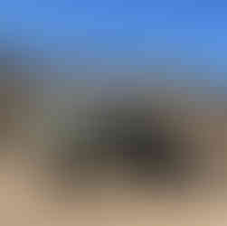 UTVs parked on the shore of Lake Pleasant near Peoria, Arizona, a popular destination for UTV riders.