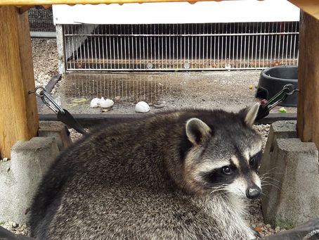 Endlich wieder arbeiten