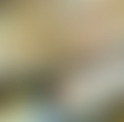 Rohingya Student Network Leadership Program