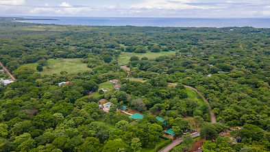 Christie's Costa Rica