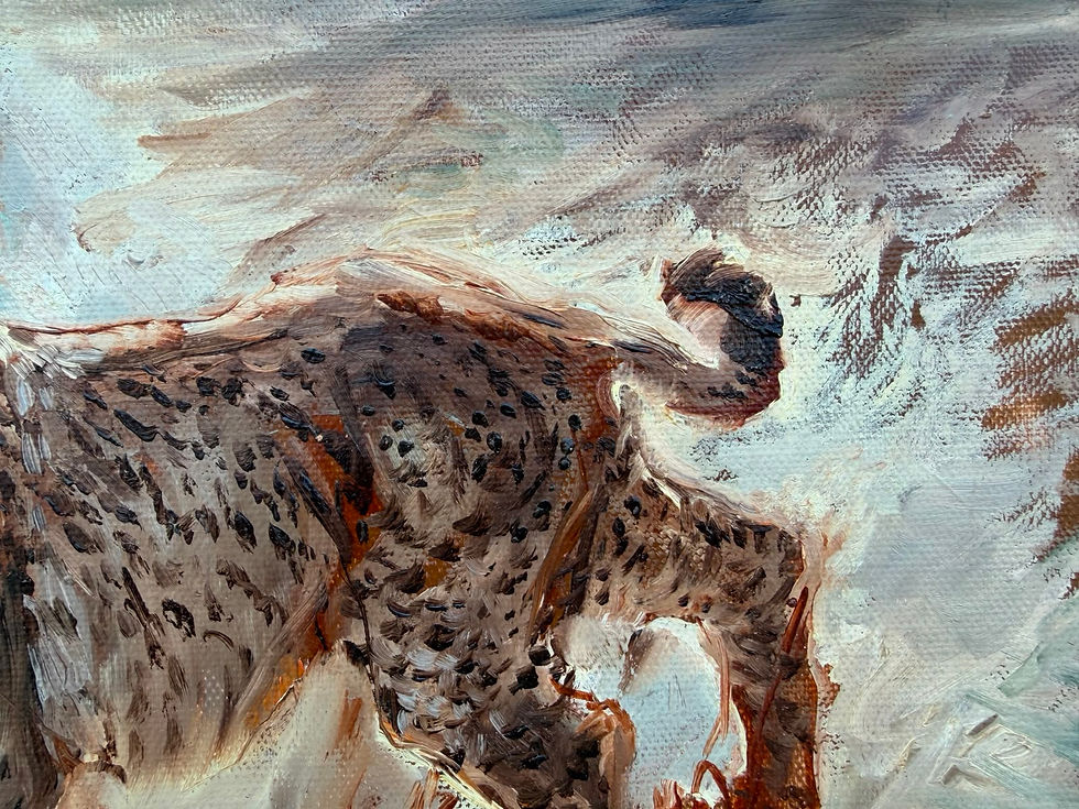 Thumbnail: Iberian Lynx
