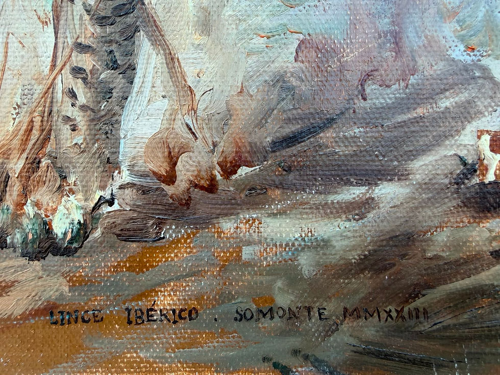 Thumbnail: Iberian Lynx