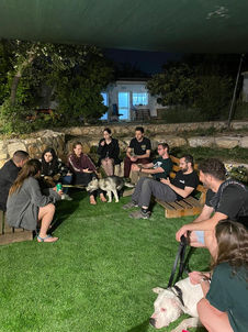 כפר הסטודנטים איילים כרמיאל
