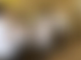 エコールいずみ様へ‥❗️