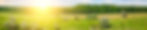 header9.jpg