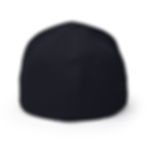 Thumbnail: DTA Wildcats Logo Structured Twill Cap