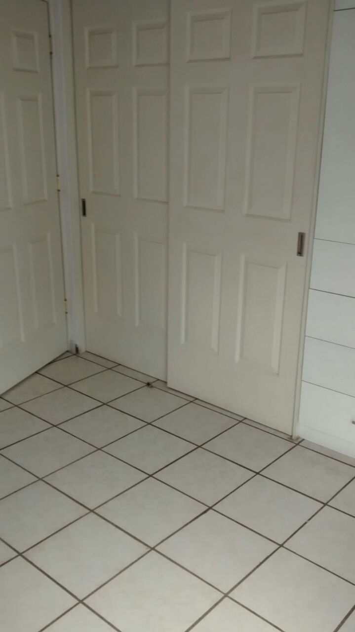 Miniatura: Los Murales II
