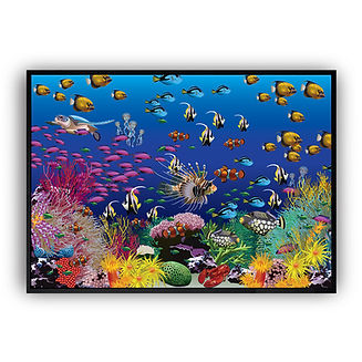 Underwater Ocean Marine Fish
