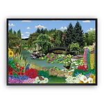 Lily Pond Garden