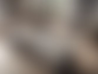 Transform Your Kitchen with Superior Universal's Custom Solutions