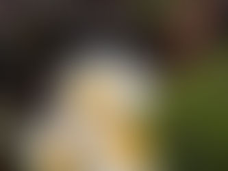 Poem: Spicers to Teviot Girls Trip