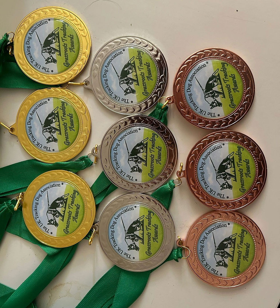 Medals_edited
