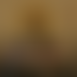 Did Irenaeus Teach Apostolic Succession Like Catholics and Orthodox Believe Today? A Closer Look at the Evidence