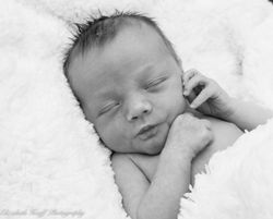 Newborn Photography