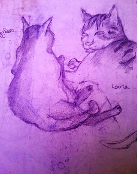 les gribouilles d'aurelie