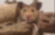 Screenshot_20231110-162024.jpg