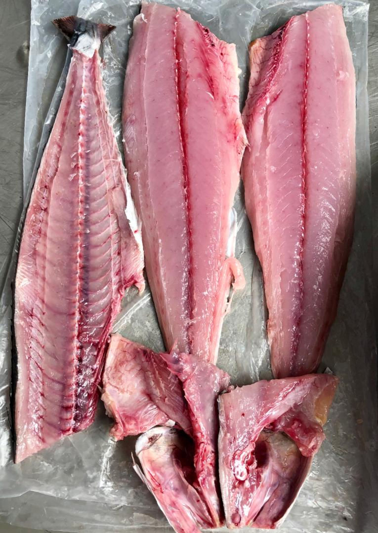 縮圖：竹鲛鱼 Batang Fish (Per KG)               可以起肉或者切片