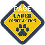 Add a heading (4).png