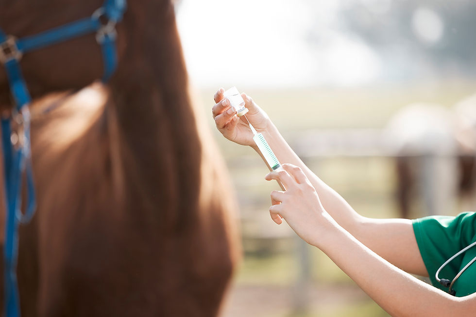 guidelines on equine vaccines