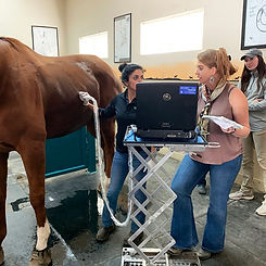 New Menlo Park Ultrasound Equipment 10-2022 SquareCrop.jpg