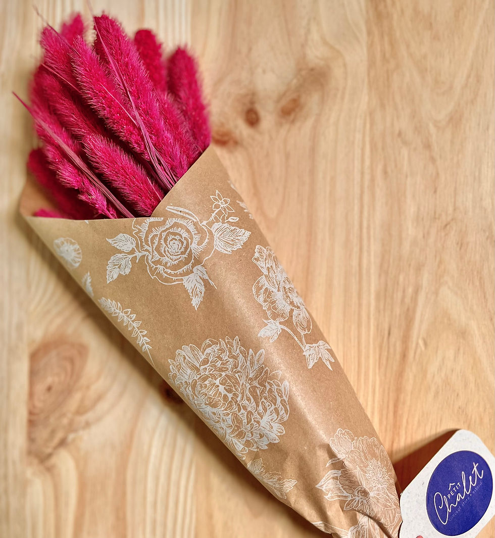 Thumbnail: Fores Secas Setarea 