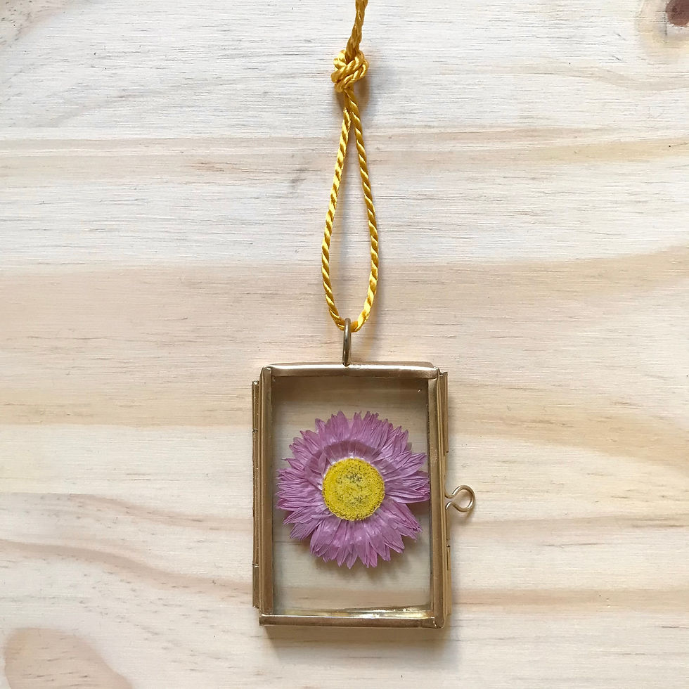 Moldura Decoração