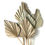 Miniatura: Flores secas Palm Spear