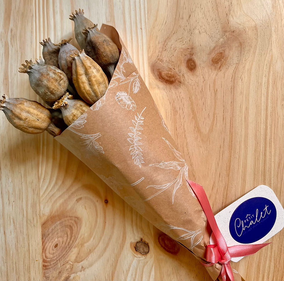 Thumbnail: Fores Secas Papoila 