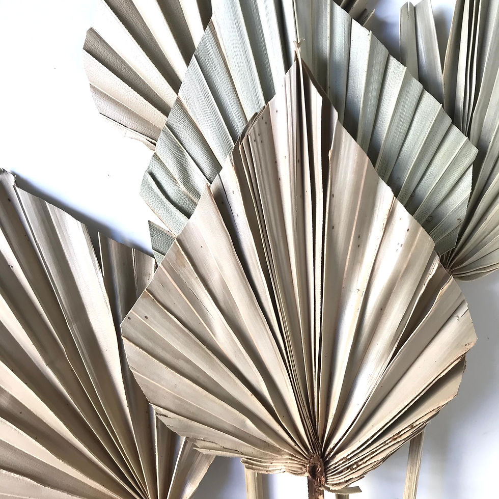 Thumbnail: Flores secas Palm Spear