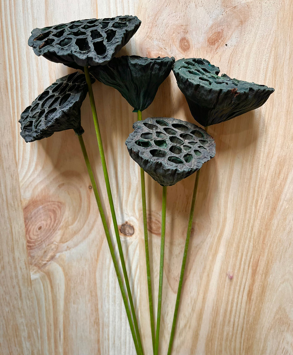 Thumbnail: Fores Secas Flor de Lotus 