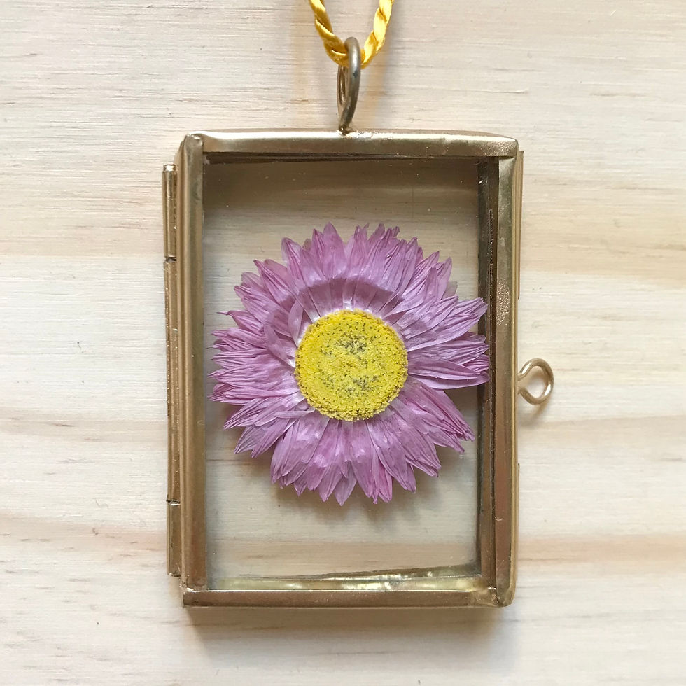 Thumbnail: Moldura Decoração