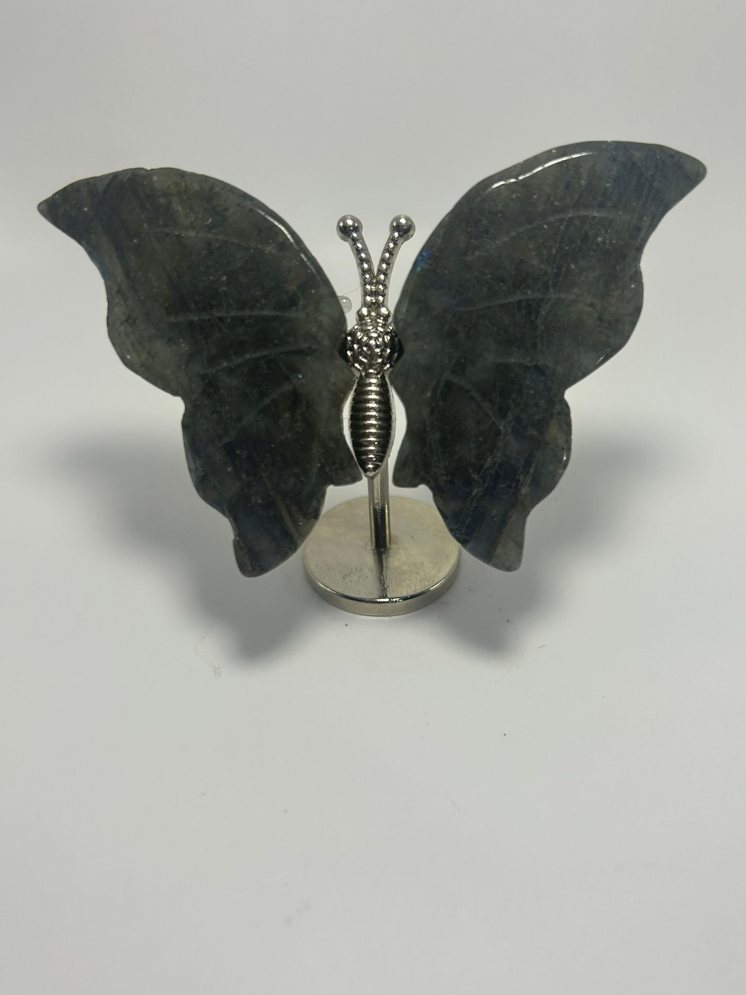 Mini Labradorite Butterfly Wings paperweight
