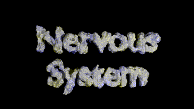 NS VID LOGO for web0001-0040.gif