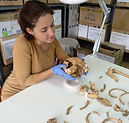 laboratorio de antropología (26).jpg
