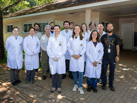 Itaipu capacita técnicos em cirurgia de peixes para monitoramento inédito