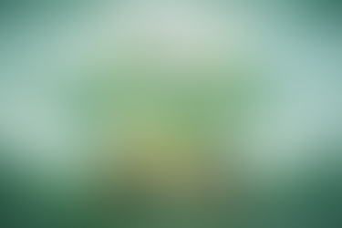 Saúde abre Campanha Abril Verde com foco na prevenção de acidentes de trabalho em Foz do Iguaçu