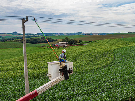 Com 25 mil km de novas redes rurais, Paraná Trifásico fortalece a agroindústria com energia mais potente e estável