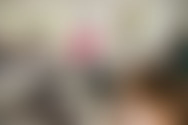 Açaí juçara vira oportunidade de renda para comunidades caiçaras no Litoral