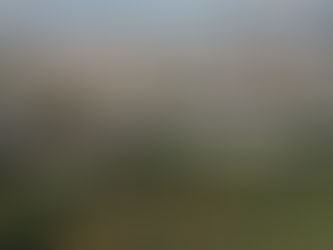 Fazenda lança pesquisa cidadã para população ajudar a definir o Orçamento de 2027