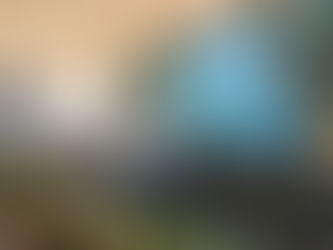 Ponte da Integração Brasil-Paraguai fortalecerá economia dos dois países, afirma Lula