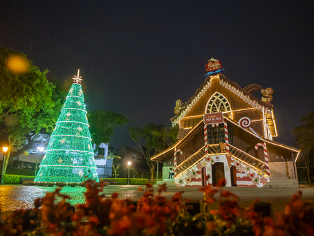 Roteiro iluminado: saiba onde ver as árvores do Natal de Curitiba até o dia 6 de janeiro